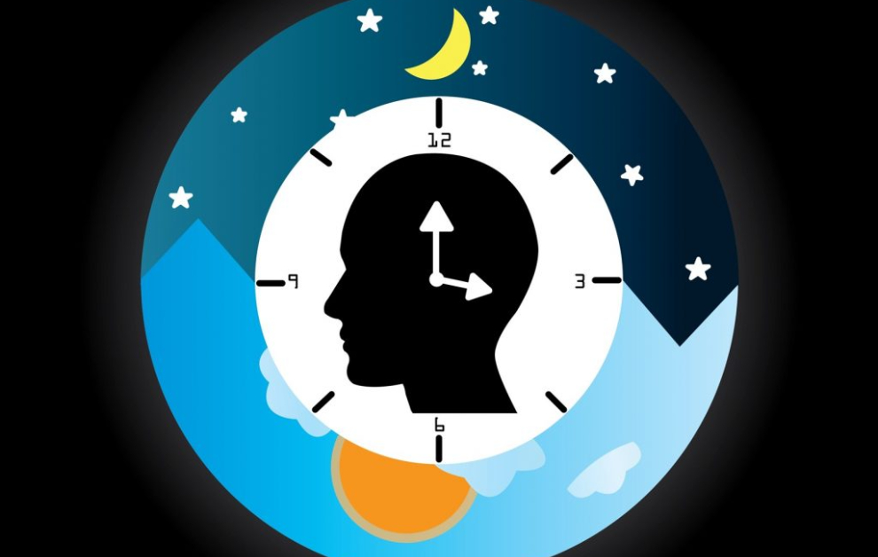 Cildimizin Sirkadiyen Ritmi